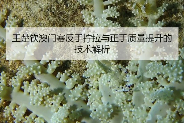 wang-chu-qin-ao-men-sai-fan-shou-ning-la-yu-zheng-shou-zhi-liang-ti-sheng-de-ji-shu-jie-xi-3-864.jpg